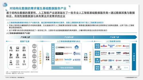 德勤咨詢?nèi)斯ぶ悄芑A(chǔ)數(shù)據(jù)服務(wù)白皮書 數(shù)據(jù)處理服務(wù)的核心價值與實(shí)施路徑